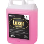 Luxor
